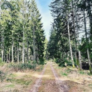 foret